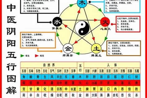 命主属性|如何查自己五行什么命 快速查自己的五行属性